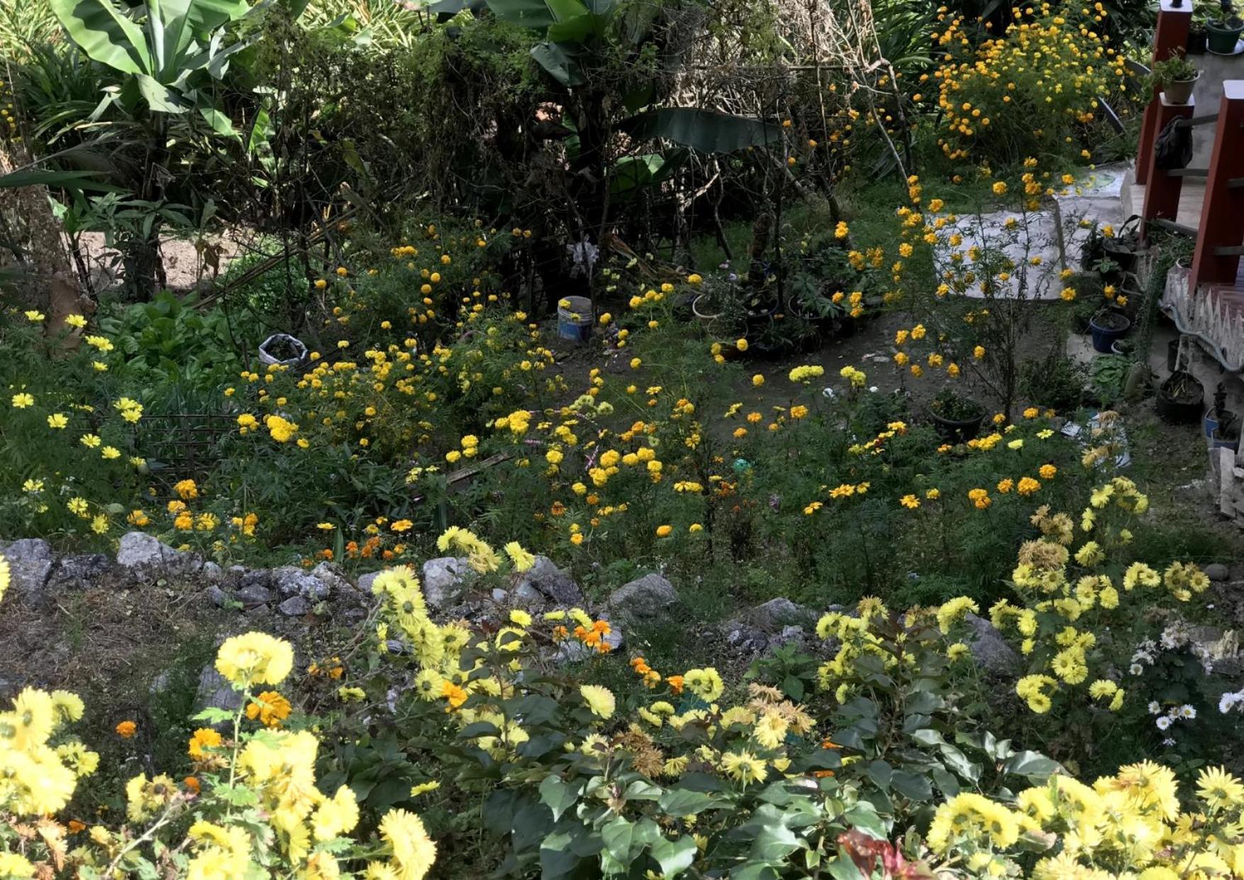 Silk Route Lingtam Resort 外观 照片